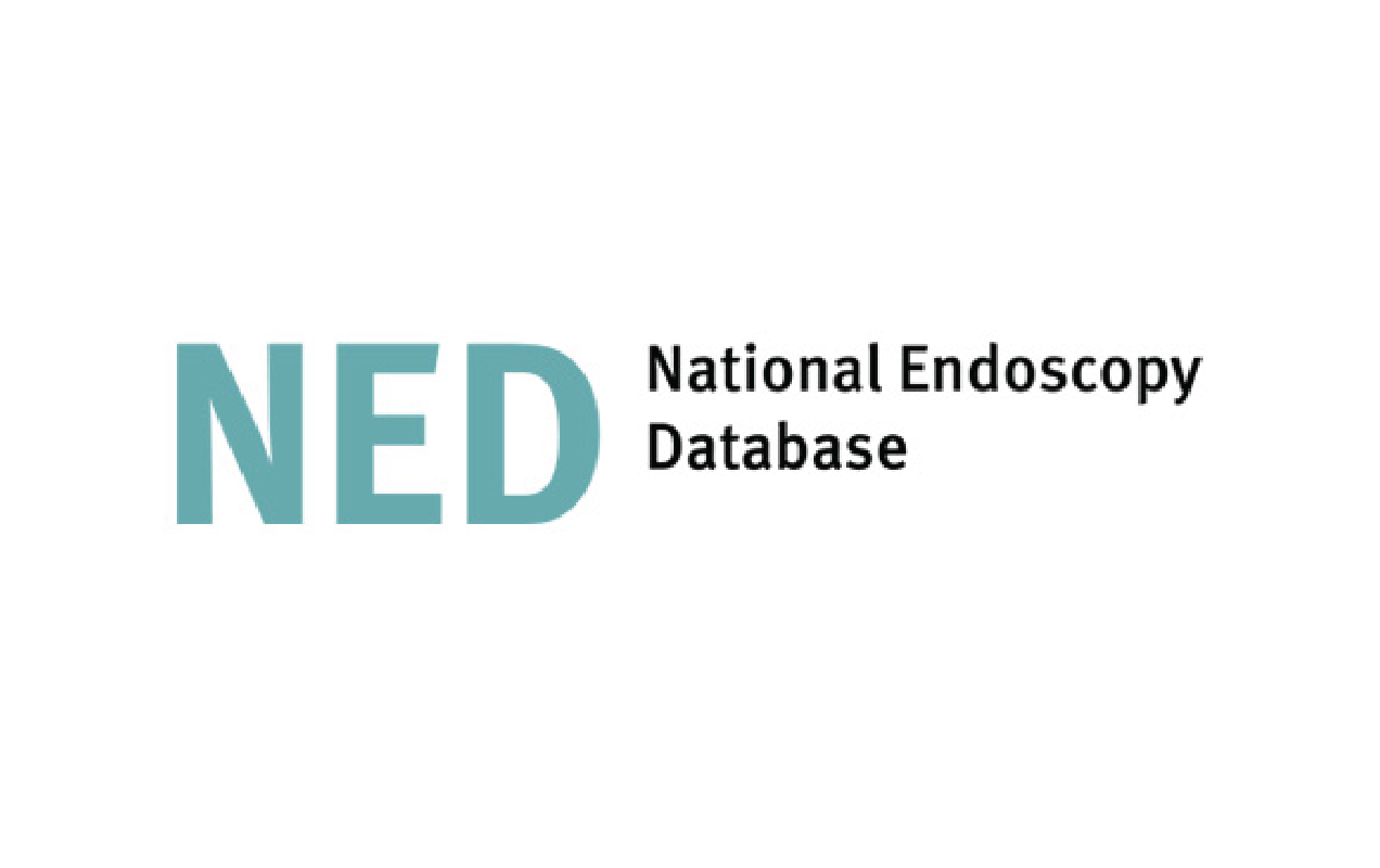 NED Logo